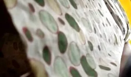 ジーンズの妻は彼女の膝と夫の妹に乗って、彼女は隠しカメラの口の中にあります 女の子 の ため の 動画 エロ