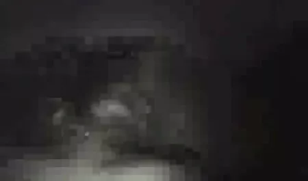 彼女のボーイフレンドのバラを舐め尾と美しい灰色の目 女の子 専用 エロ 動画